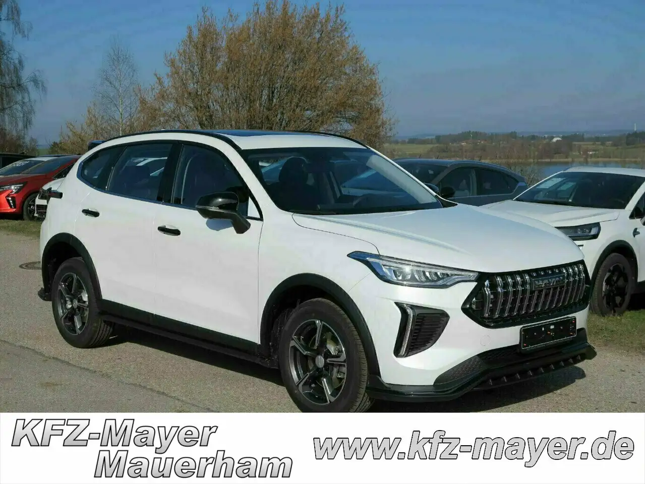 GWM HAVAL Jolion Pro